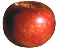 Paula Red  apple tree 