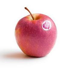 Pink Lady  apple tree 